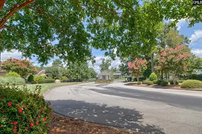 340 Turners Court, Lexington, SC 29072 - Photo 41