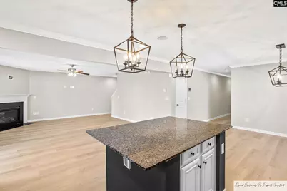 56 Texas Black Way, Elgin, SC 29045 - Photo 11