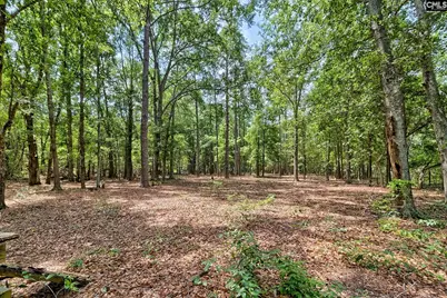1415 Springvale Road, Lugoff, SC 29078 - Photo 39