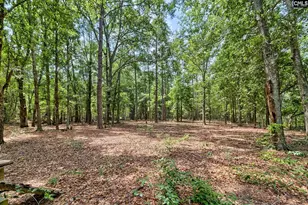 1415 Springvale Rd, Lugoff, SC 29078 - Photo 39