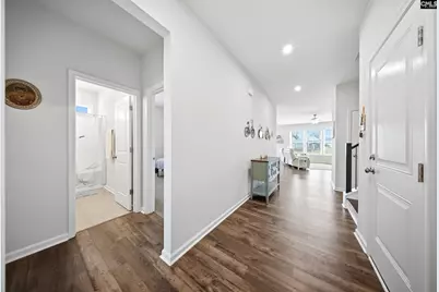 445 Dolomite Court, Chapin, SC 29036 - Photo 5