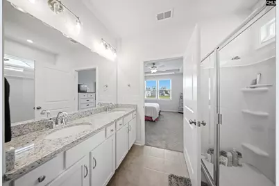445 Dolomite Court, Chapin, SC 29036 - Photo 13