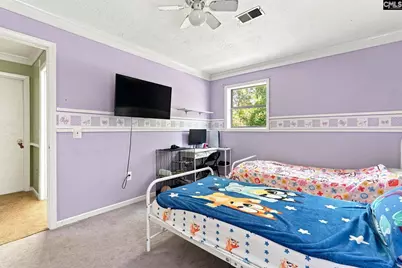 420 Northcutt Road, Pelion, SC 29123 - Photo 19