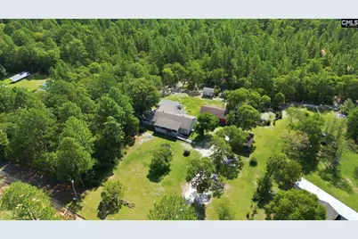 420 Northcutt Road, Pelion, SC 29123 - Photo 33