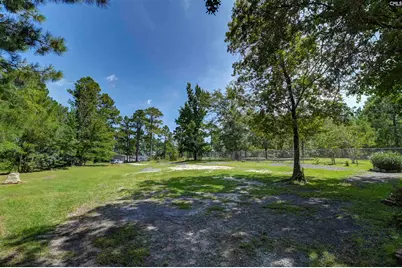 115 Divinci Road, Sandy Run, SC 29160 - Photo 19