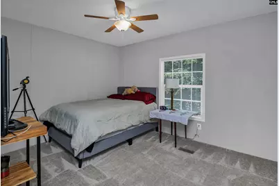 115 Divinci Road, Sandy Run, SC 29160 - Photo 13