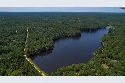 115 Divinci Road, Sandy Run, SC 29160 - Photo 21
