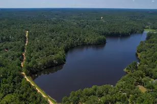 115 Divinci Rd, Sandy Run, SC 29160 - Photo 21