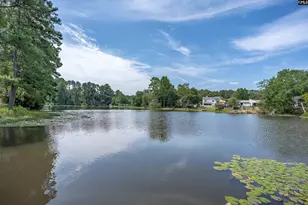 213 Maple Tree Ct, Lexington, SC 29073 - Photo 37