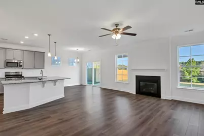 259 Lemon Tree Crossing, Elgin, SC 29045 - Photo 7