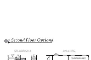 259 Lemon Tree Crossing, Elgin, SC 29045 - Photo 3
