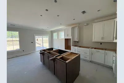 259 Lemon Tree Crossing, Elgin, SC 29045 - Photo 5