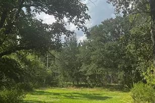 116 Rob Teal Rd, Patrick, SC 29584 - Photo 1