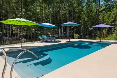 207 Jake Meetze Road, Chapin, SC 29036 - Photo 43