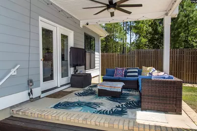 207 Jake Meetze Road, Chapin, SC 29036 - Photo 39