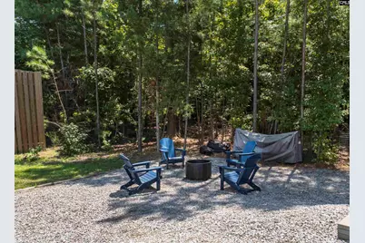 207 Jake Meetze Road, Chapin, SC 29036 - Photo 47