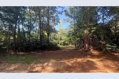 196 Brandy Road, Wagener, SC 29164 - Photo 7