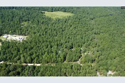 196 Brandy Road, Wagener, SC 29164 - Photo 5