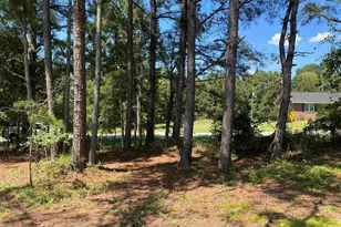 3734-B Stoney Hill Rd, Prosperity, SC 29127 - Photo 1