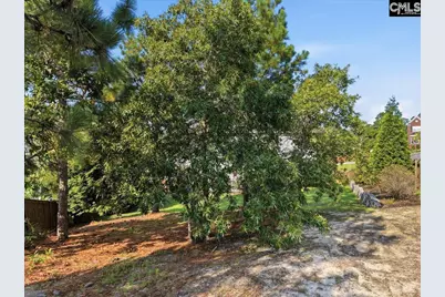 66 Saughtree Lane W, Elgin, SC 29045 - Photo 67