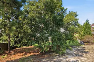 66 Saughtree Ln W, Elgin, SC 29045 - Photo 67