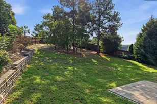 66 Saughtree Ln W, Elgin, SC 29045 - Photo 73