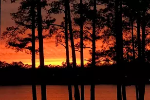 3524 Driftwood Point Rd, Gilbert, SC 29054 - Photo 71