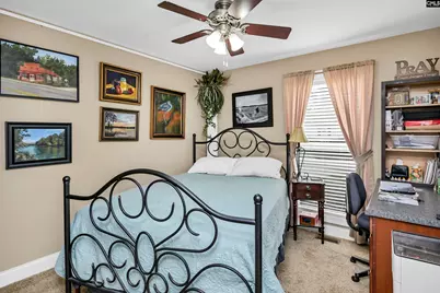3524 Driftwood Point Road, Gilbert, SC 29054 - Photo 49