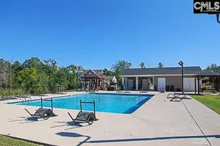 608 Muldrow Ln, Chapin, SC 29036 - Photo 57