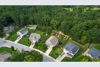 608 Muldrow Lane, Chapin, SC 29036 - Photo 65