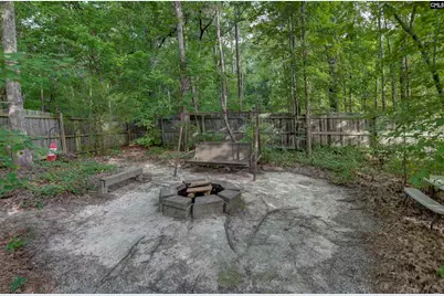608 Muldrow Lane, Chapin, SC 29036 - Photo 49