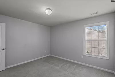 117 Loganberry Court, Lexington, SC 29072 - Photo 29