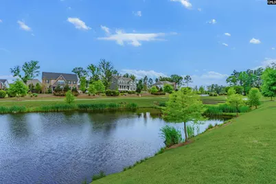 148 Almofini Lane, Chapin, SC 29036 - Photo 57