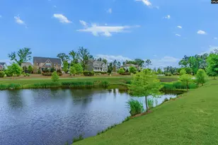 148 Almofini Ln, Chapin, SC 29036 - Photo 57