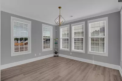 148 Almofini Lane, Chapin, SC 29036 - Photo 21