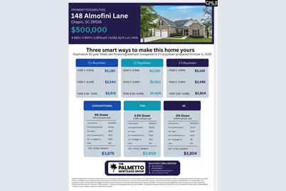148 Almofini Lane, Chapin, SC 29036 - Photo 5