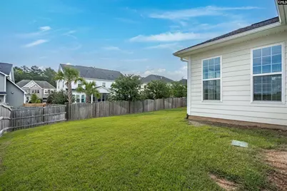 148 Almofini Lane, Chapin, SC 29036 - Photo 49