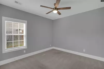 148 Almofini Lane, Chapin, SC 29036 - Photo 37