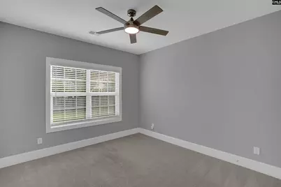 148 Almofini Lane, Chapin, SC 29036 - Photo 39