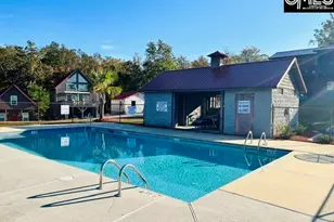 281 Marina Cove Dr, Gilbert, SC 29054 - Photo 49