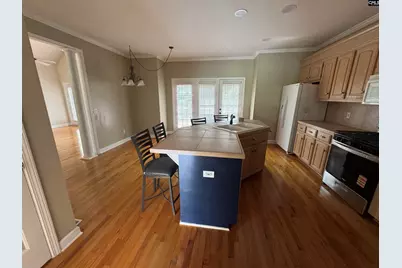 116 Rum Gully Lane, Chapin, SC 29036 - Photo 5