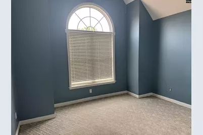 116 Rum Gully Lane, Chapin, SC 29036 - Photo 11