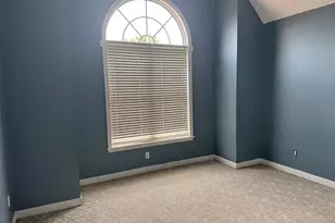 116 Rum Gully Ln, Chapin, SC 29036 - Photo 11