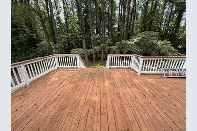 116 Rum Gully Lane, Chapin, SC 29036 - Photo 17