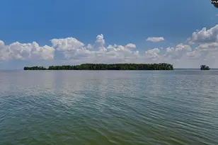 1158 Libby Ariail Circle, Chapin, SC 29036 - Photo 7