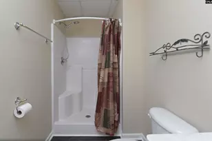 1158 Libby Ariail Circle, Chapin, SC 29036 - Photo 33