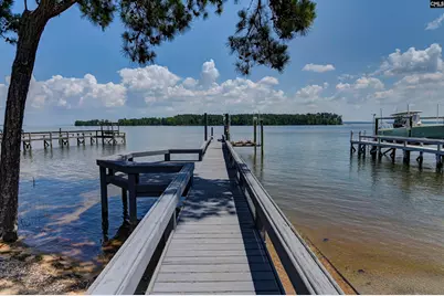 1158 Libby Ariail Circle, Chapin, SC 29036 - Photo 5