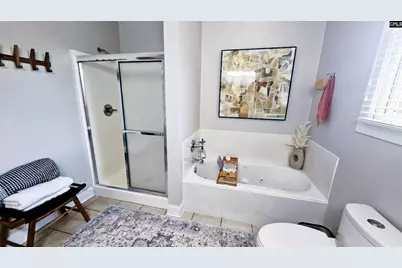 133 Hilton View Drive, Chapin, SC 29036 - Photo 21