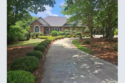133 Hilton View Drive, Chapin, SC 29036 - Photo 1