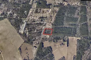 Edmund Hwy, Pelion, SC 29123 - Photo 1